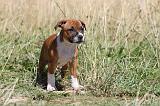 STAFFIE 103
